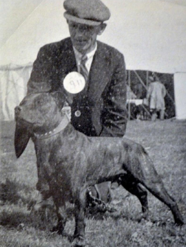 Show dog and his exhibitor, back in the day Show dog and his exhibitor, back in the day