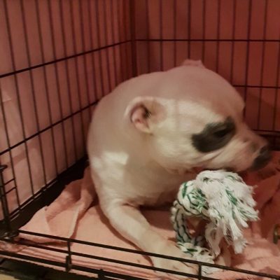 20180603_165656 (Medium) 20180603_165656 (Medium)