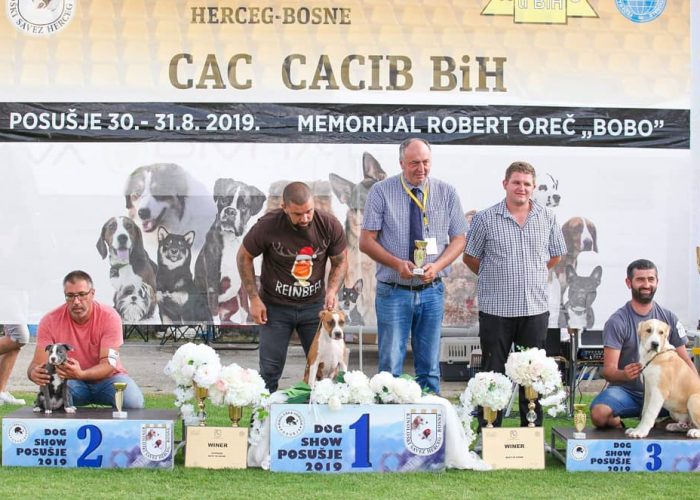 69448192_378427749508903_5570188634310574080_o 69448192_378427749508903_5570188634310574080_o