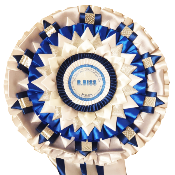 bis–winner bis--winner