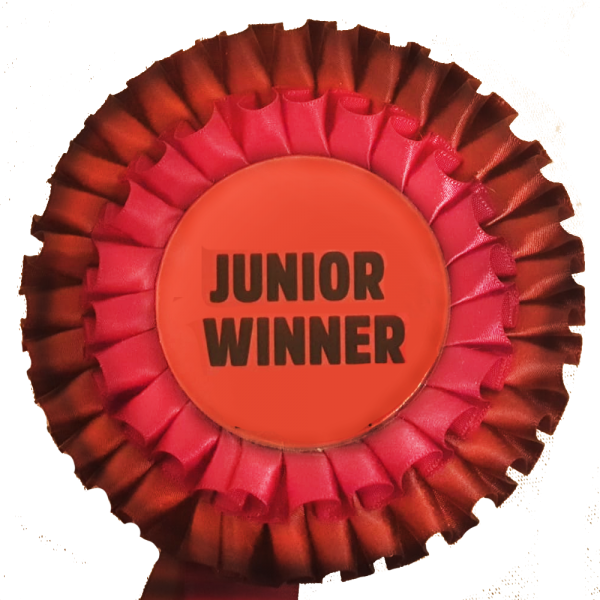 zg-junior-winner1 zg-junior-winner1